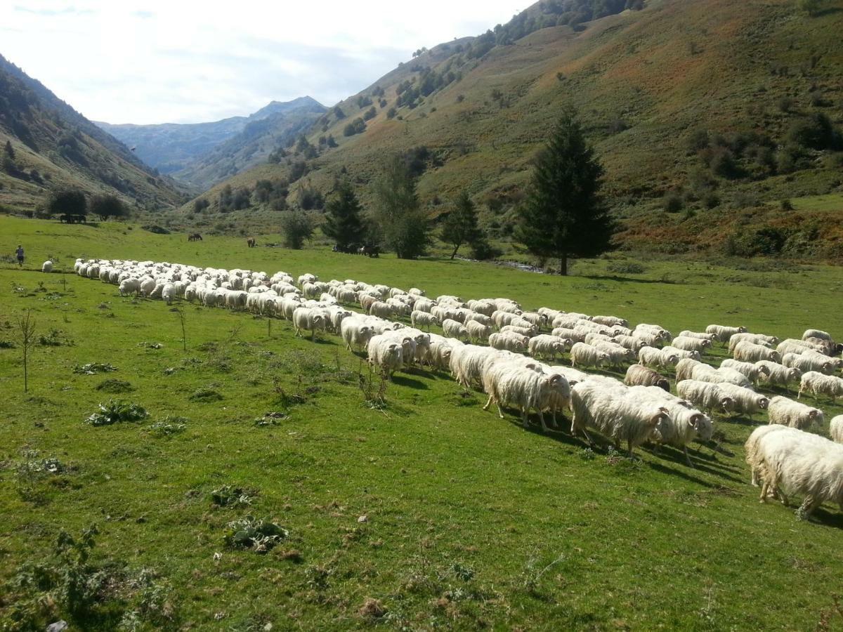 Gite De Montagne Du Plateau De Lhers- Accueil Randonneurs Accous Ngoại thất bức ảnh