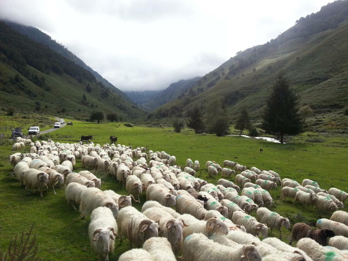 Gite De Montagne Du Plateau De Lhers- Accueil Randonneurs Accous Ngoại thất bức ảnh